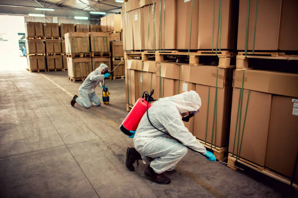 Best Pest Control for Homes  in Dunkirk, NY