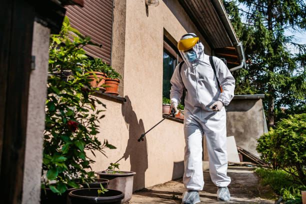 Best Affordable Pest Control Services  in Dunkirk, NY