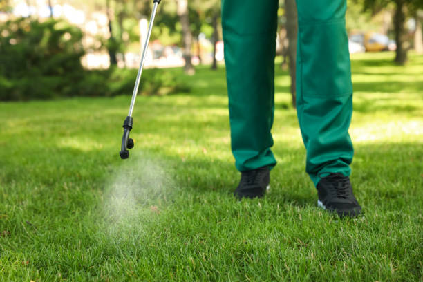Best Emergency Pest Control  in Dunkirk, NY