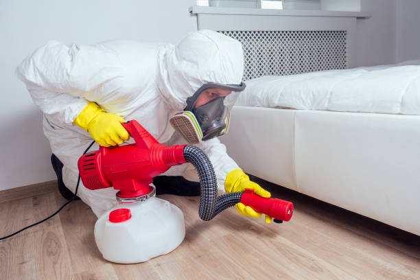 Best Pest Removal Services  in Dunkirk, NY