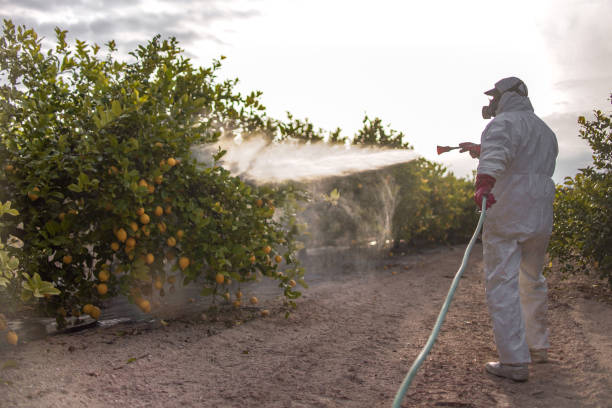 Pest Control for Restaurants in Dunkirk, NY