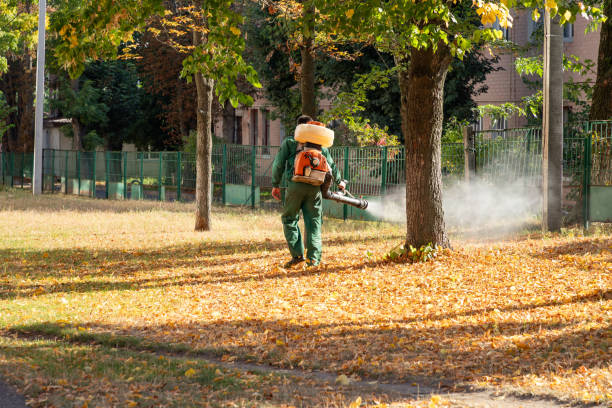 Best Bed Bug Extermination  in Dunkirk, NY